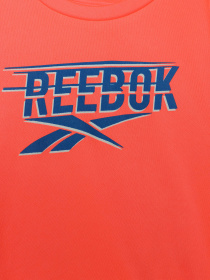 Костюмы Reebok 3 PIECES BRAND LOGO SET модель C9002RB1_MULTICOLOR Фото
