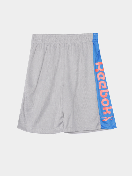 Костюми Reebok модель C9035RB4_BLUE/GREY Фото