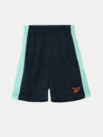 Костюмы Reebok модель C9036RB2_BLUE Фото