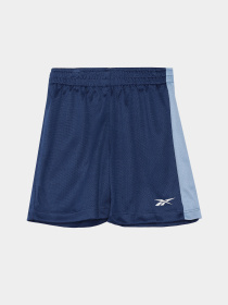 Костюми Reebok модель C9863RB_BLUE Фото
