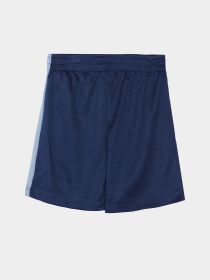 Костюми Reebok модель C9863RB_BLUE Фото
