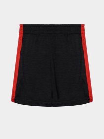 Костюмы Reebok модель C9910RB_mix Фото