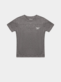 Костюмы Reebok 3 PIECES SET модель C9913RB_BLUE/GREY Фото