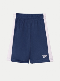 Костюмы Reebok 3 PIECES SET модель C9913RB_BLUE/GREY Фото