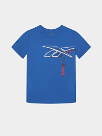 Костюмы Reebok 3 PIECES SET модель C9913RB_BLUE/GREY Фото