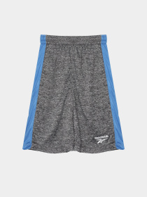 Костюми Reebok модель C9991RB2_BLUE Фото