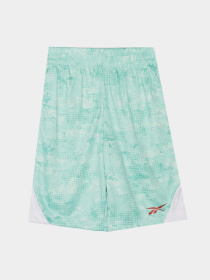 Костюми Reebok модель C9993RB4_white/green Фото