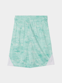 Костюми Reebok модель C9993RB4_white/green Фото