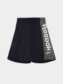 Костюми Reebok модель C9996RB2_MIX Фото