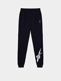 Брюки Reebok модель E2813RB8_NAVY BLUE Фото