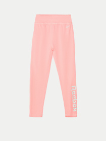 Брюки Reebok 2 PACK BRAND LOGO модель E4563RG_MULTICOLOR Фото
