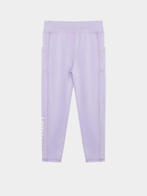 Штани Reebok 2 PACK BRAND LOGO TIGHT SET модель E4565RG_BLACK/PURPLE Фото