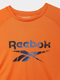 Футболки и поло Reebok 2 PACKS SPORTSWEAR FIT GRAPHIC модель H9892RB_NAVY BLUE/ORANGE Фото