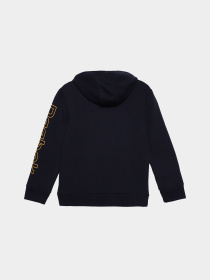 Худи и свитшоты Reebok модель Q89476RBI_NAVY BLUE Фото