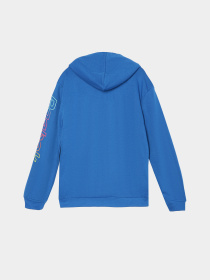 Худи и свитшоты Reebok модель Q9192RB8_BLUE Фото