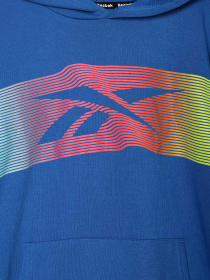 Худи и свитшоты Reebok модель Q9192RB8_BLUE Фото