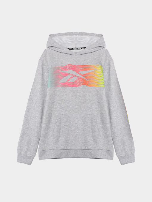 Худи и свитшоты Reebok модель Q9192RB8AU_GREY Фото