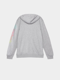 Худи и свитшоты Reebok модель Q9192RB8AU_GREY Фото