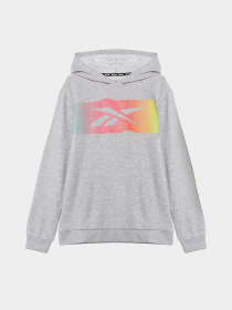 Худи и свитшоты Reebok модель Q9192RB8AU_GREY Фото