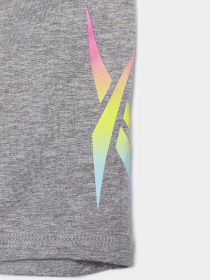 Шорти Reebok 2 PIECE BRAND LOGO PULL ON модель S4576RG_MIX Фото