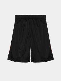 Шорты Reebok модель S9038RB8_BLACK/RED Фото