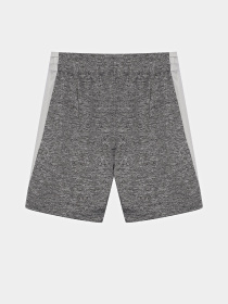 Шорти Reebok модель S9938RB_GRAY Фото