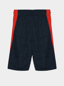 Шорты Reebok модель S9938RB4_NAVY BLUE/RED Фото