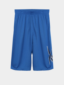 Шорты Reebok модель S9939RB4_BLUE Фото