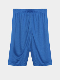 Шорты Reebok модель S9939RB4_BLUE Фото