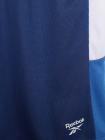 Шорты Reebok модель S9939RB4_BLUE Фото