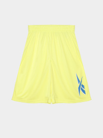 Шорты Reebok модель S9939RB8_MULTICOLOR Фото