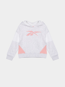 Костюми Reebok модель B4326RG1_GRAY Фото
