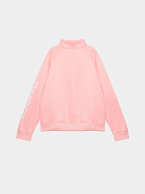 Костюми Reebok модель B4637RG_PINK/DREY Фото