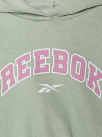 Костюми Reebok модель B4840RG7_GREY/GREEN Фото
