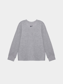 Костюмы Reebok модель B9683RB_MIX Фото