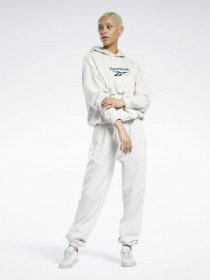Худі та світшоти Reebok CL F BIG LOGO FT HOODIE модель GS1738 Фото