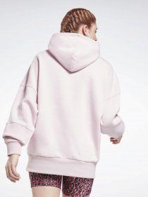 Худи и свитшоты Reebok Retro Oversize модель GU5843 Фото