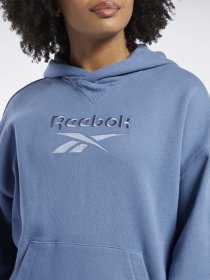 Худі та світшоти Reebok CL F BIG LOGO FT HOODIE модель H41379 Фото