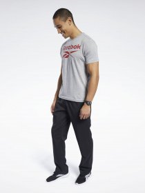 Штани Reebok Essentials модель 0B998 Фото