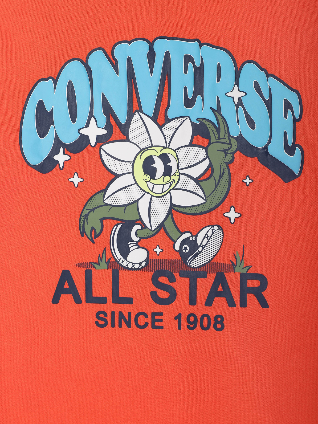 Футболки і поло CONVERSE TRAIL MIX FLOWER GFX T-SHIRT модель 9CG892-R7L Фото