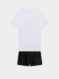 Костюмы CONVERSE SNEAKER WOVEN SHORT модель 8CH259-023 Фото