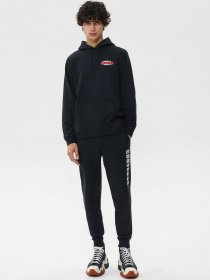 Худи и свитшоты CONVERSE Shoe Hero модель 10024614-001 Фото
