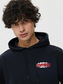 Худи и свитшоты CONVERSE Shoe Hero модель 10024614-001 Фото