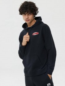Худі та світшоти CONVERSE Shoe Hero модель 10024614-001 Фото