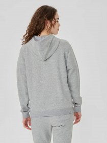 Худі та світшоти CONVERSE Standard Fit модель 10025469-035 Фото