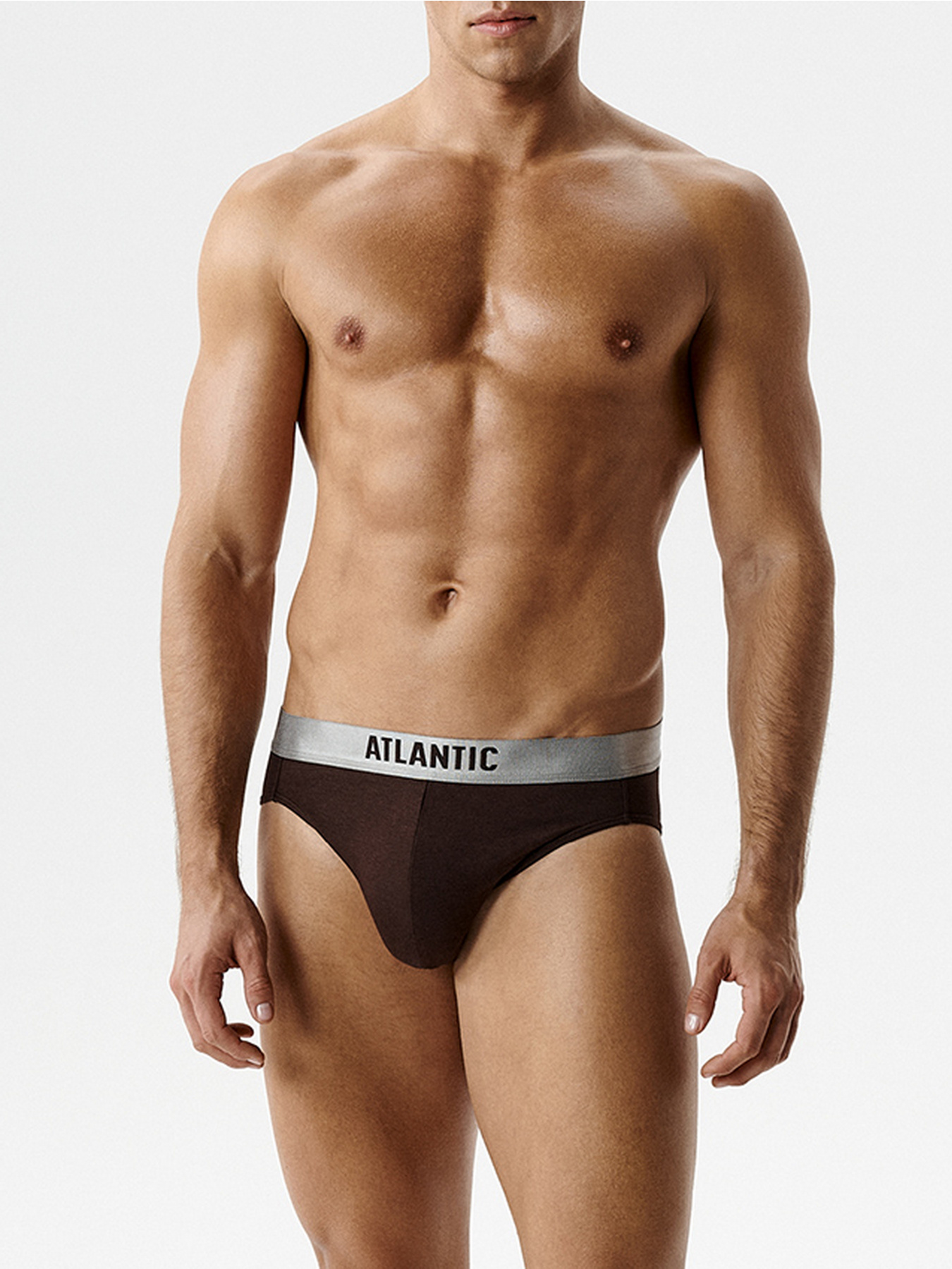 Нижнее белье Atlantic модель 2MP-1589 BRO Нижнее белье Atlantic модель 2MP-1589 BRO Фото