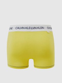 Нижнее белье Calvin Klein Underwear модель NB2518A_ZHK Фото