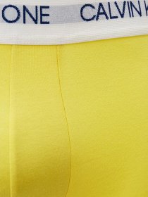 Нижнее белье Calvin Klein Underwear модель NB2518A_ZHK Фото