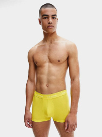 Нижнее белье Calvin Klein Underwear Trunk модель U2664G_WHY Фото