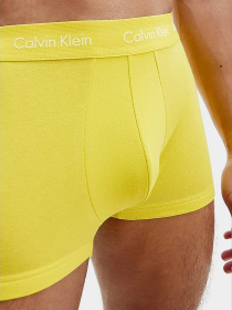 Нижнее белье Calvin Klein Underwear Trunk модель U2664G_WHY Фото